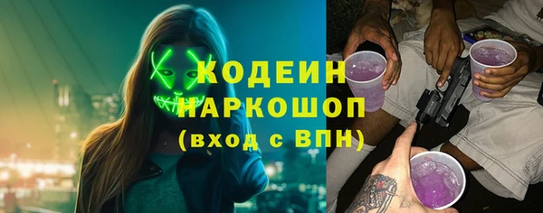 ПСИЛОЦИБИНОВЫЕ ГРИБЫ Михайлов