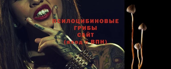 ПСИЛОЦИБИНОВЫЕ ГРИБЫ Михайлов