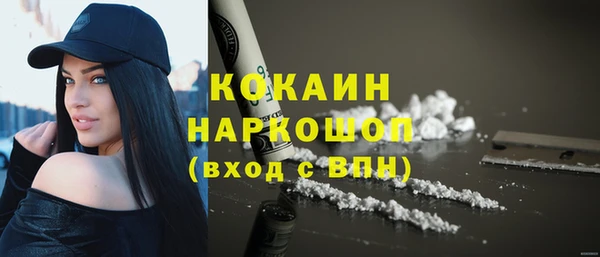 ПСИЛОЦИБИНОВЫЕ ГРИБЫ Михайлов
