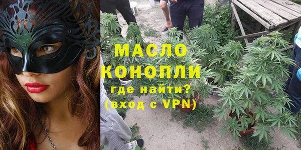 ПСИЛОЦИБИНОВЫЕ ГРИБЫ Михайлов