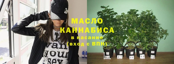 шишки Надым