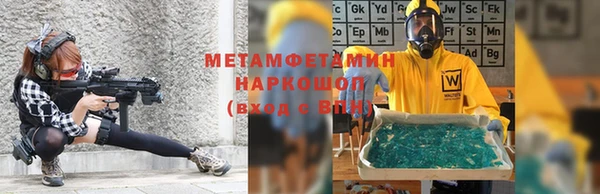 ПСИЛОЦИБИНОВЫЕ ГРИБЫ Михайлов