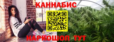 шишки Лесосибирск