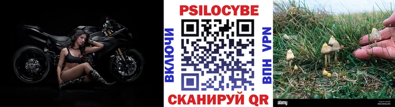 Псилоцибиновые грибы мухоморы Чайковский