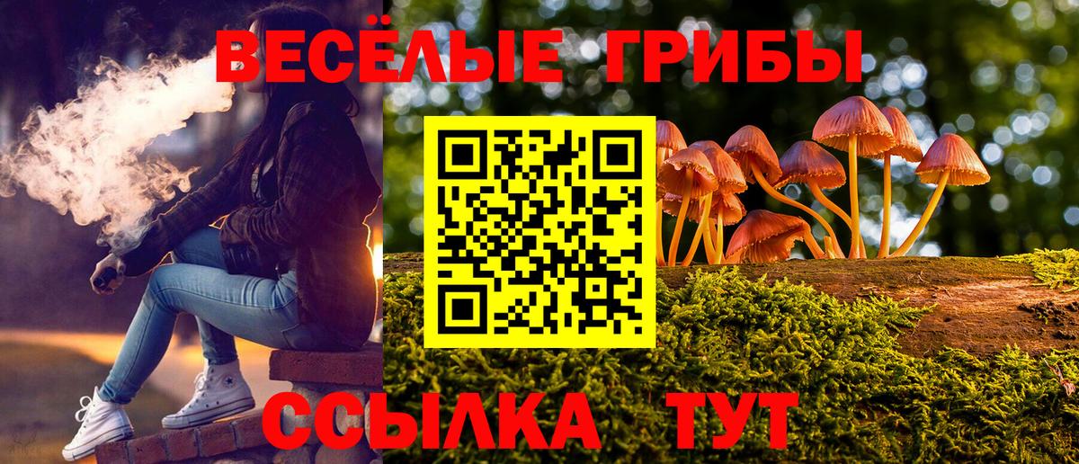 Псилоцибиновые грибы прущие грибы  Галлюциногенные грибы Psilocybe  Чайковский  Вход с VPN 