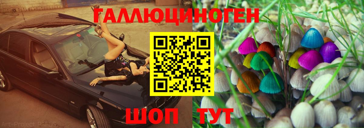 Галлюциногенные грибы мицелий Чайковский